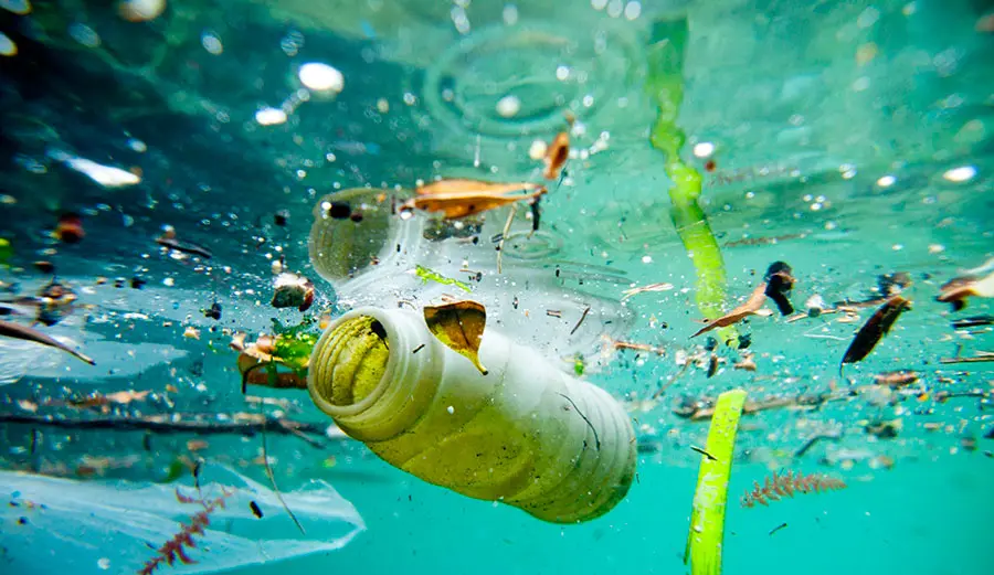 Drowning in Plastic: The Ocean’s Silent Cry for Help